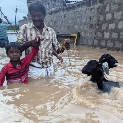 WhatsApp Image 2024-09-29 at 5.27.55 PM